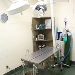 Modern Surgery & Procedures Rooms
